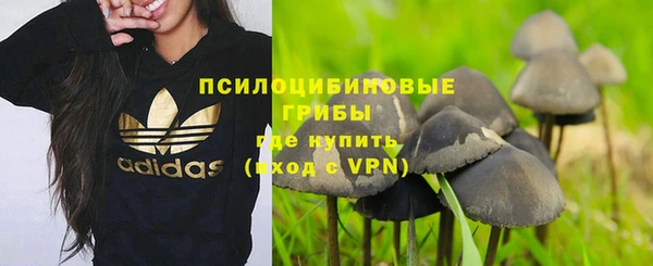 спайс Абинск